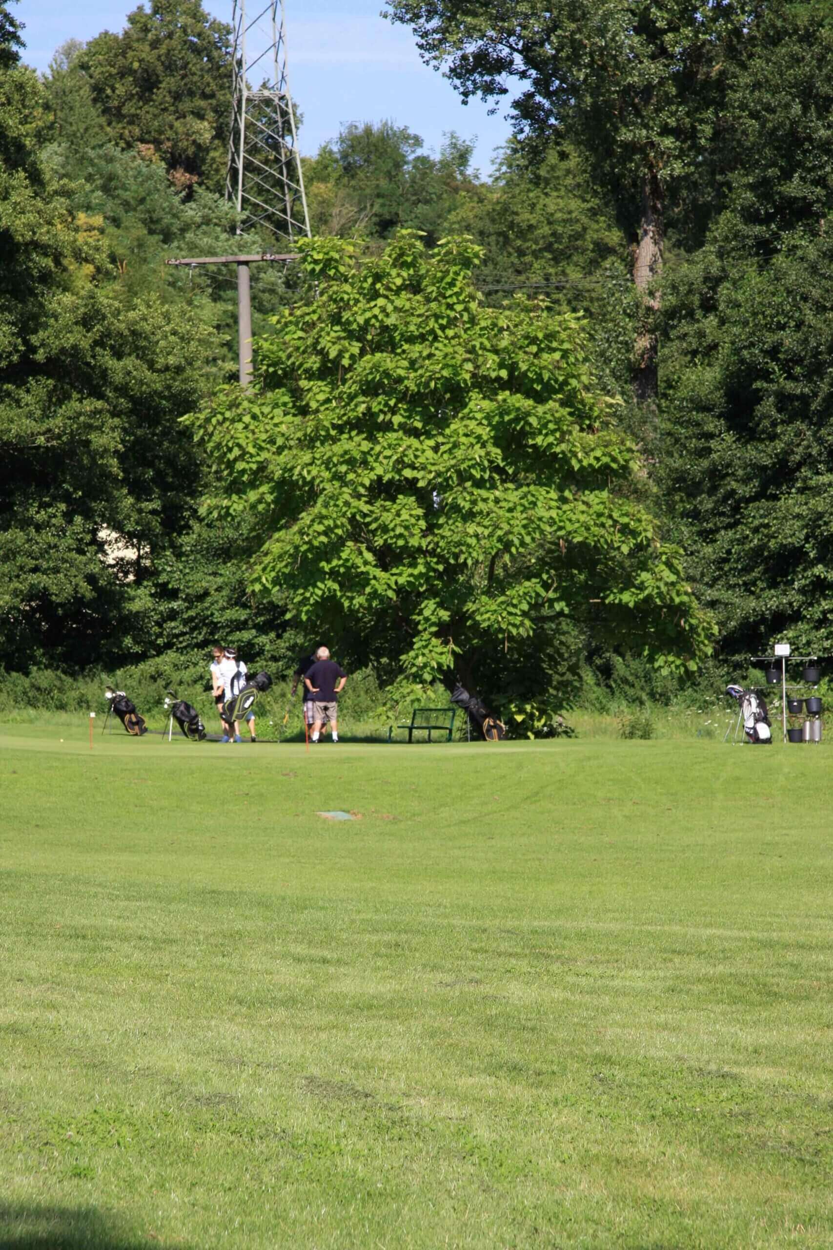 Our golf instructors