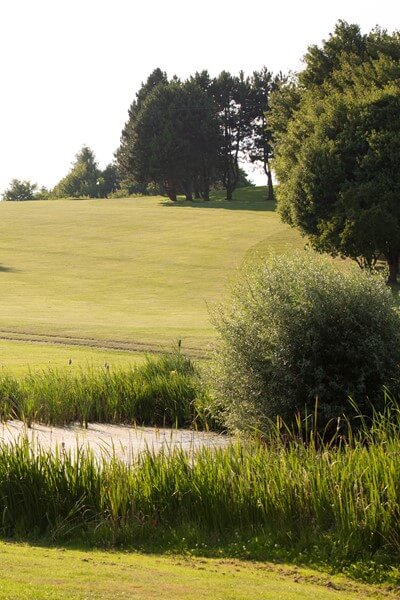 Golf lernen an einem Tag